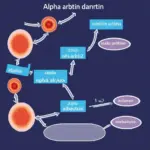 Cơ chế hoạt động của Alpha Arbutin