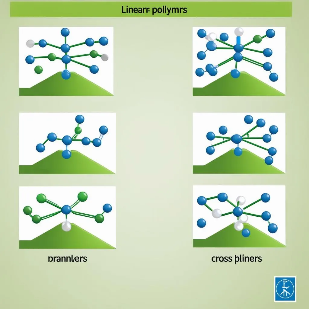 Các loại polymer