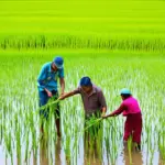 Công bằng trong lao động