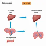 Ketone là gì?