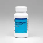 Lincomycin 500mg viên nang