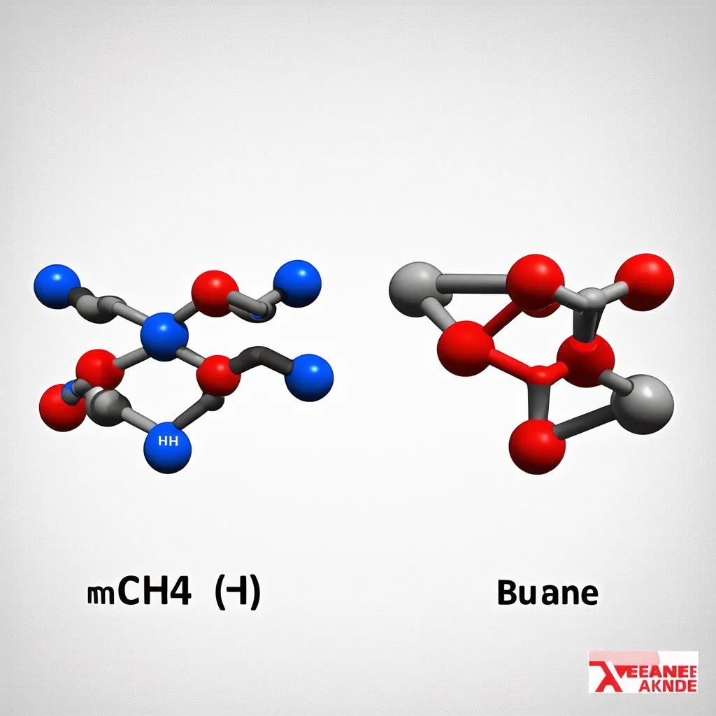 Mô hình phân tử Metan và Butan