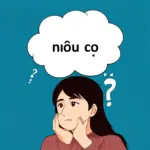 Hình ảnh minh họa "nếu có"