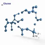 Phân tử Glucozo