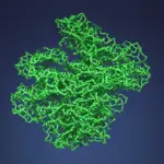 Cấu trúc protein prion