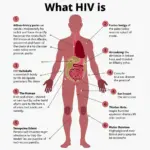 Hình ảnh bệnh HIV là gì