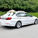 BMW 523i sang trọng làm xe hoa