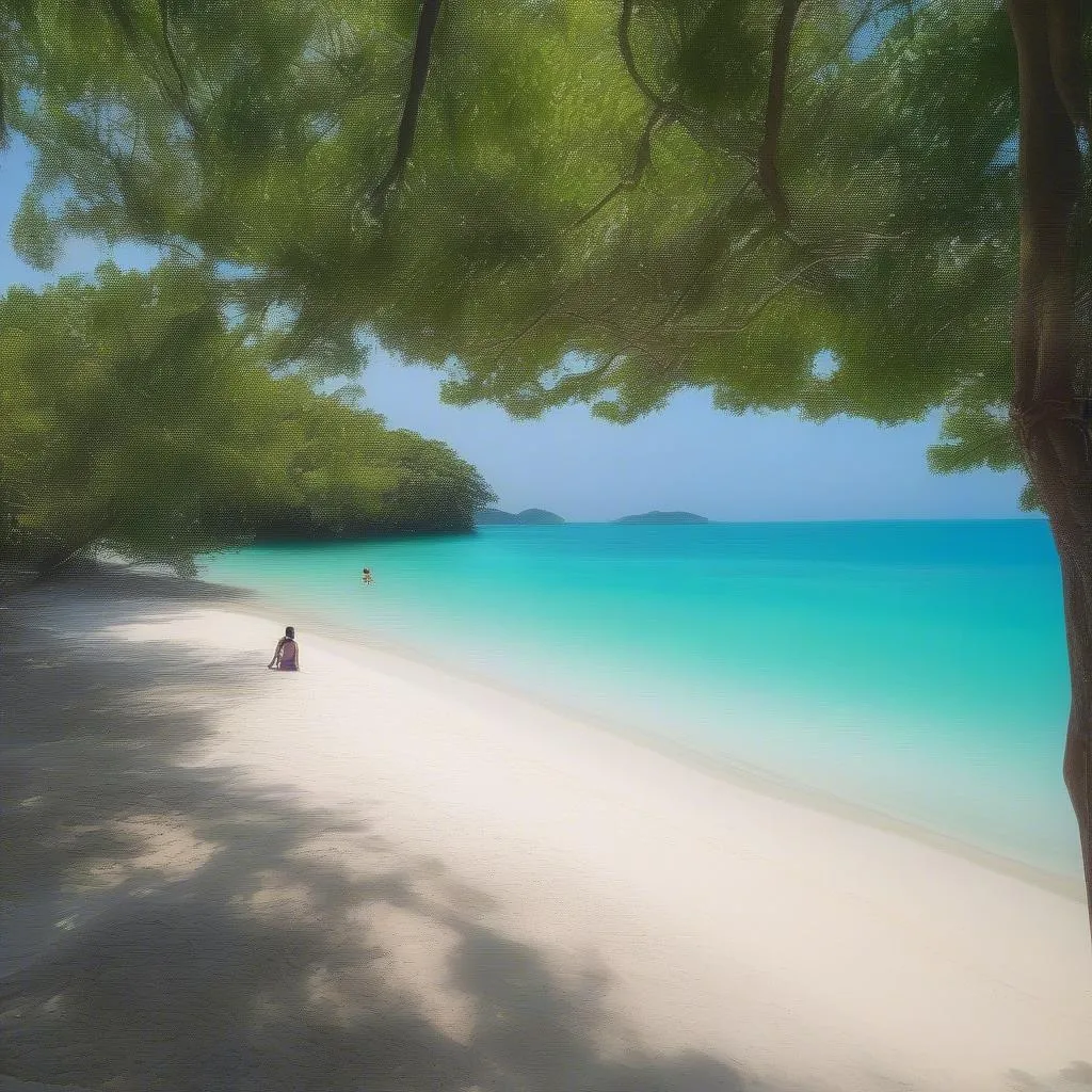 Phú Yên Beach - Vietnam