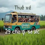 Thuê xe 29 chỗ đi Sa Đéc