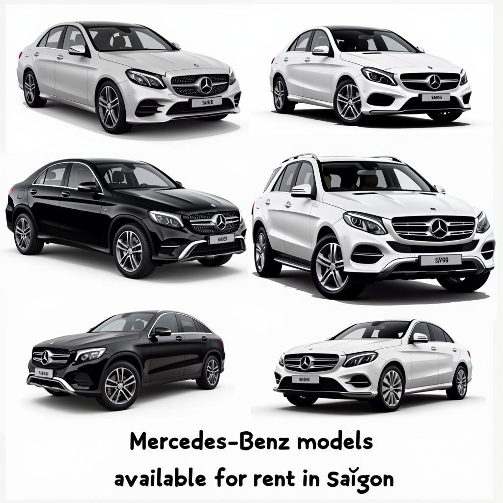 Các dòng xe Mercedes cho thuê tại Sài Gòn đa dạng, từ sedan đến SUV, đáp ứng mọi nhu cầu.