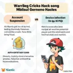 Rủi ro khi sử dụng Pokemon Coins Hack