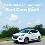 Dịch vụ cho thuê xe 4 chỗ tại Cam Ranh