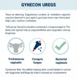 Công dụng của thuốc Gynecon