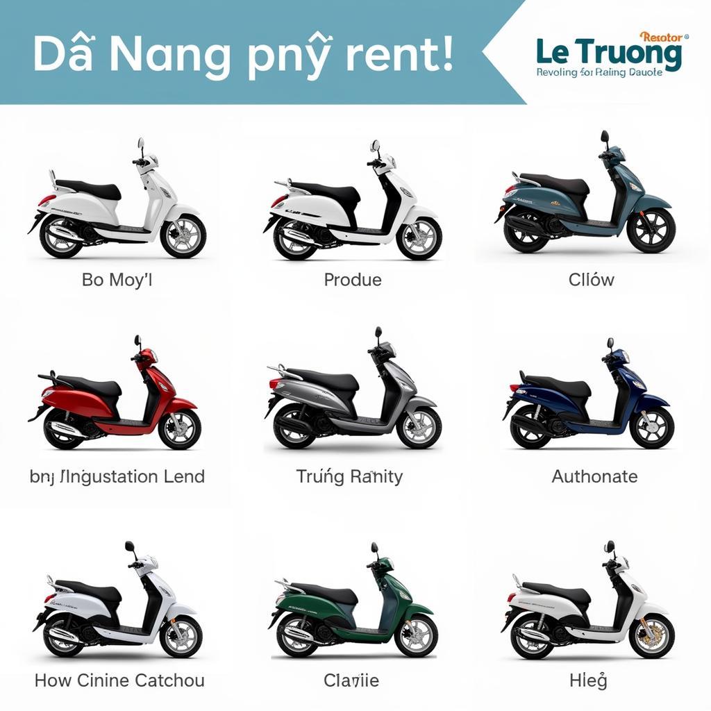 Các loại xe máy cho thuê tại Lê Trường